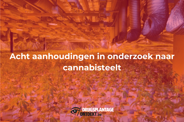 Antwerpen - Acht aanhoudingen in onderzoek naar cannabisteelt